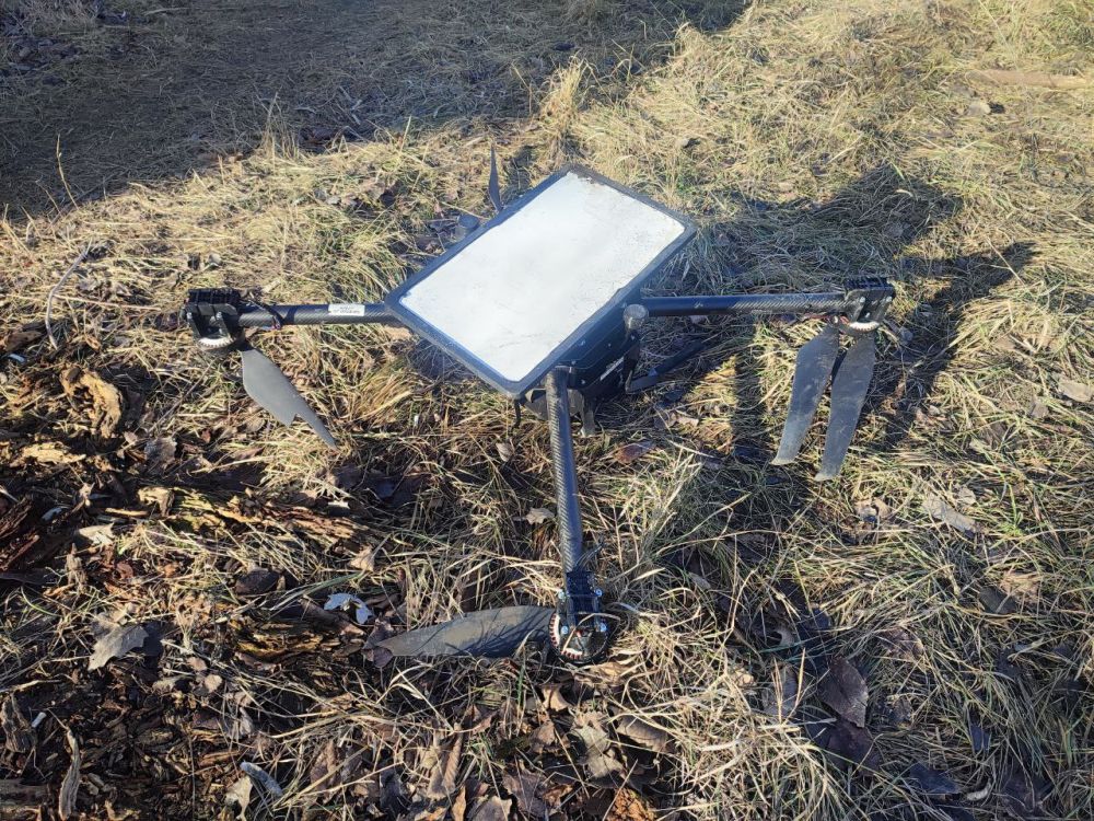 #����������_������_�����. *2 - ������� ������� ���� "����-��� (�������� ������� �������)" (���� 1-4)