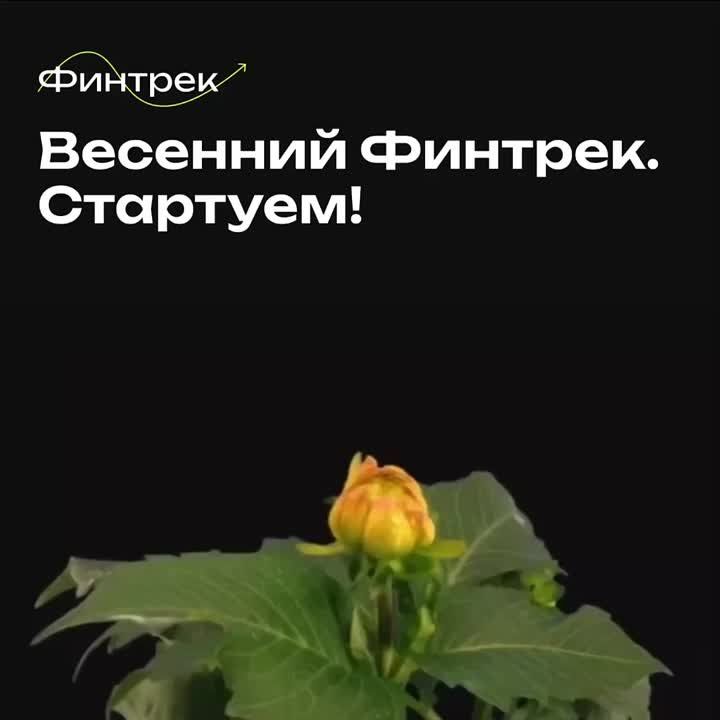 ����� ��������� ���� ���������� �����������? ��� ������� �������� �������� �������!