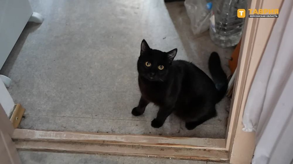 �������� ����� ���������� ������� ������� ����������� �������� ������������ � ����� ���������� ����������