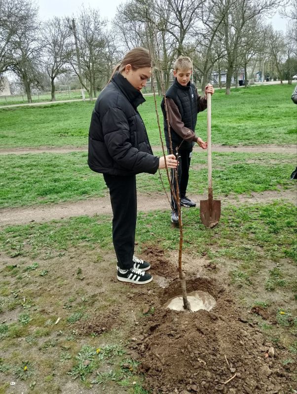 � ������������ ������������� ������ ������������ ������� ����������� � ����� "��� ������"