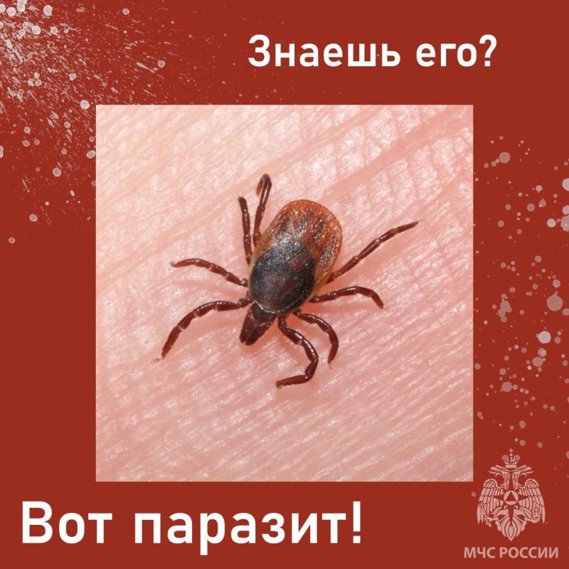 �������� ������!. ���������� ������� ��� ����������� � ������� ������ �������� ��������: ������ ������ ����� ����� ���������������� �� ���������� ������������������ ������