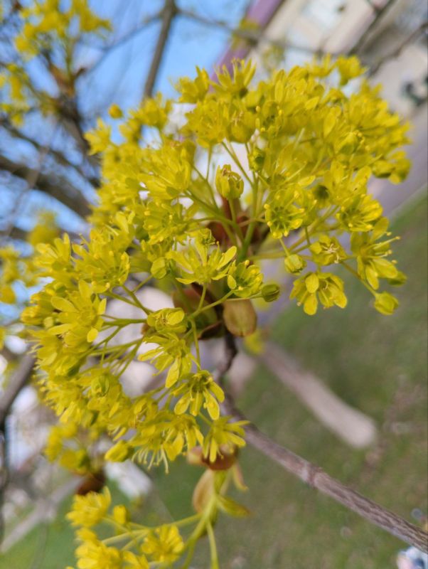 ������ ������� �������������� �������: �� ������ ������ ������ ������� �� ����� �������� ������