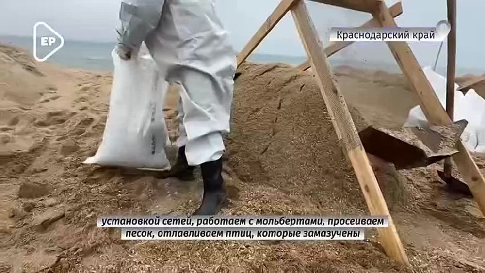 � ����� ������������, ������������ �� ������������ ��������� ����� � ��� �������, �������������� ��������� ��������������� �������� ��������� ��� "������ ������" ������ ���������