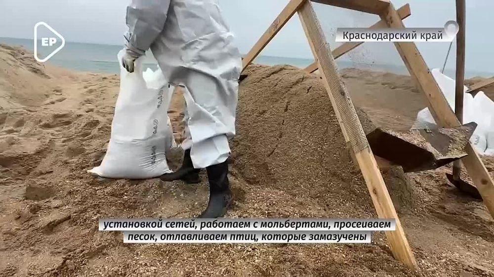 �������� ������: 15 ������������ ������������� ��������� ������ ������� ������� ����������� � ����� ������������� ����������� ������� ������ � ���������� �������