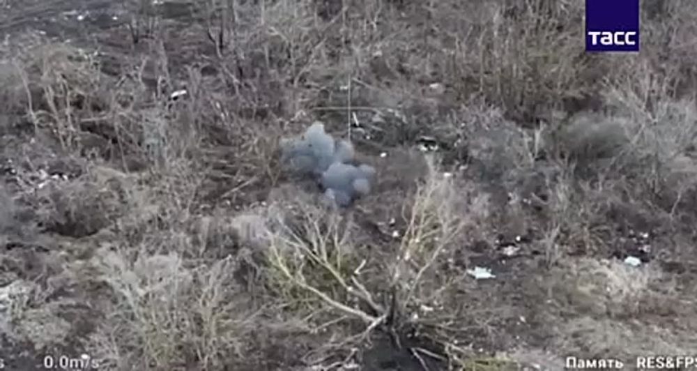 ������� FPV-������ ����������� "�����" ���������� ������� � �������� ��� � ������� �������