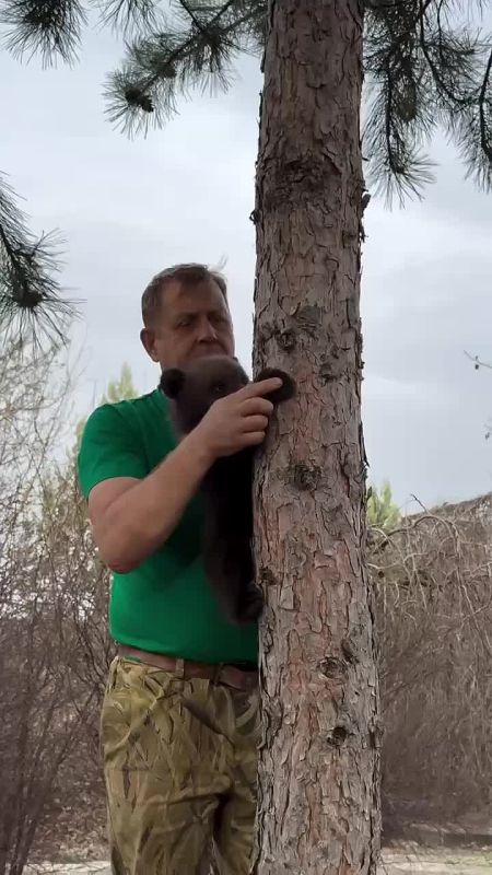 � - �����, �����, �����. � ������ �� �������