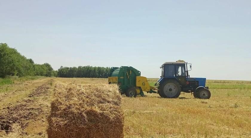 ����������: ����� ������������ �������� � ���������� �� 2025 ��� ���������� 7,3 ���� ������