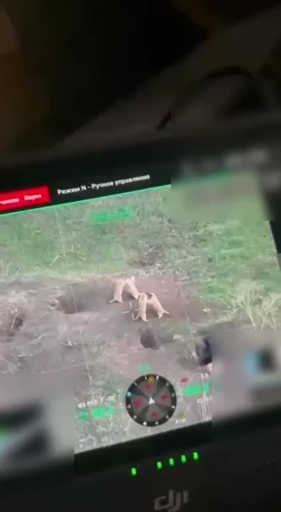 ������� ����� ������, ������ ���������� ������, � ���������� ����������������� "�����"