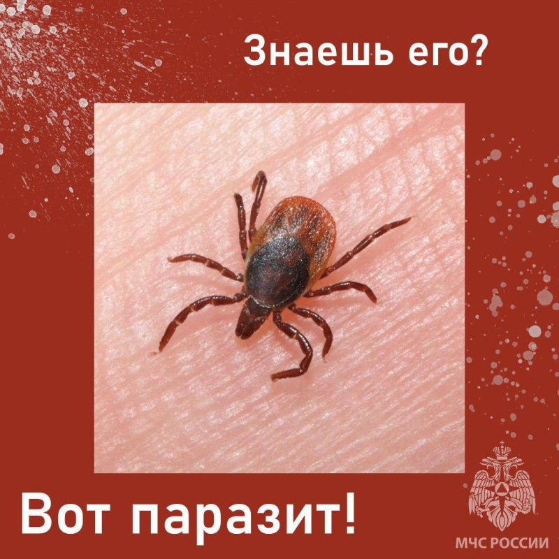 �������� ������!. ���������� ������� ��� ����������� � ������� ������ �������� ��������: ������ ������ ����� ����� ���������������� �� ���������� ������������������ ������