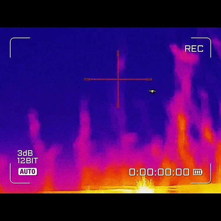 �� ������ ���������� ���� ��� "����-���" � ����� ��������