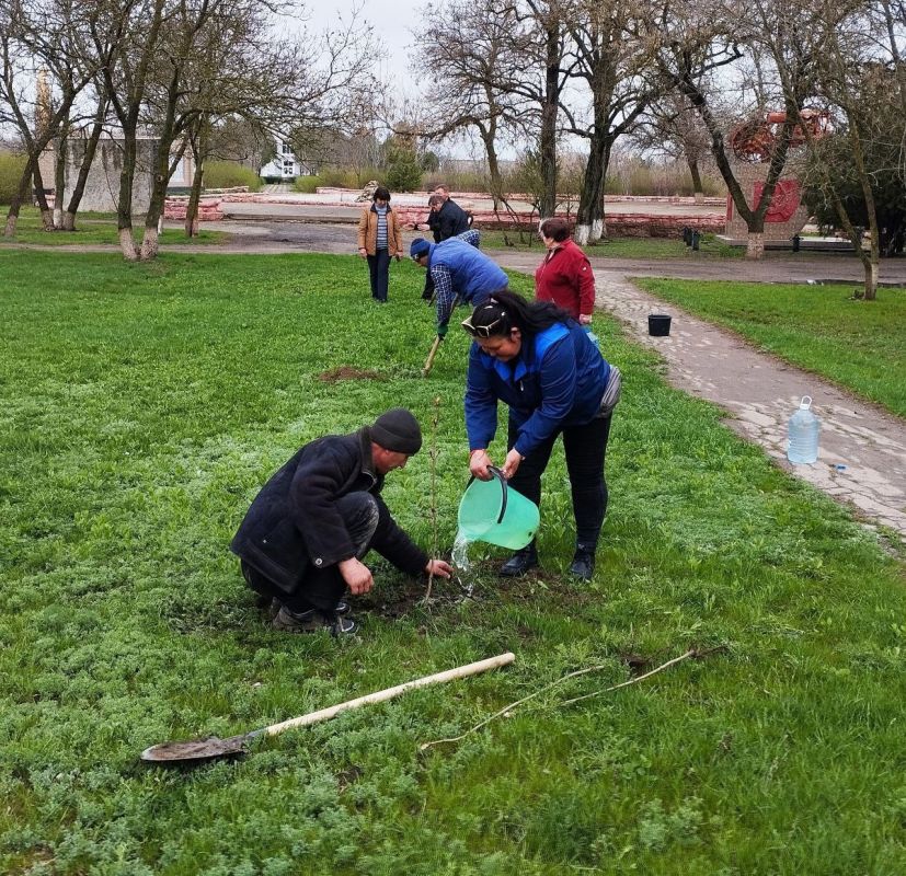 ���������� ����������� ���� ��������, ���������� � ���������������� ������ ������������� ������������� �������������� ������ � ����������� ���������� ������������� ����� ���� ������