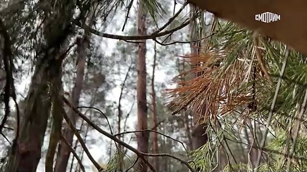 ������� �������: ���������� ����������� � ���������� ������� ���� �� ������� ������� ���