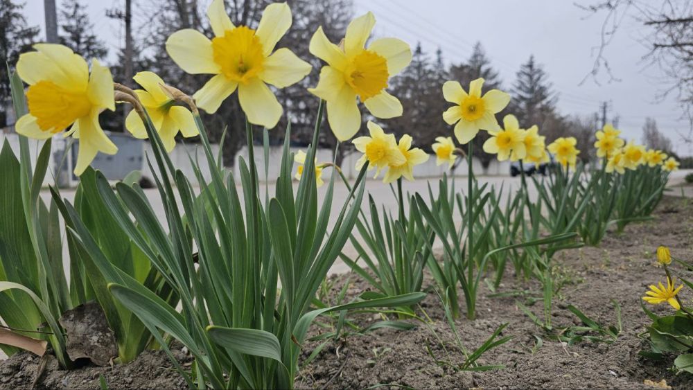 � ���������� ������� 5 ������ ��������� ����� � ��������� �����