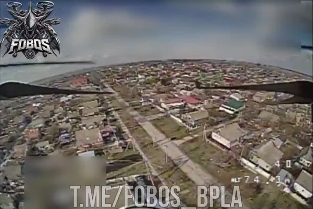 ���������� �����������. ������� ����