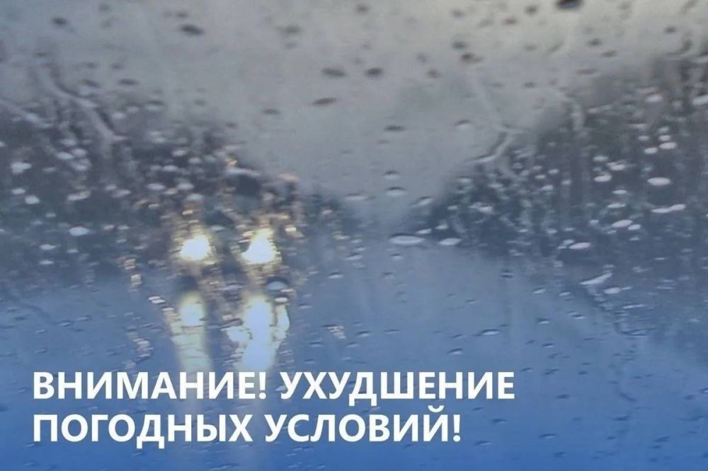 ������� ����: �������������� �� ��������� �������� �������