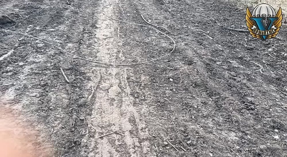 ������������ �����.. ��������-����� ���������� �������