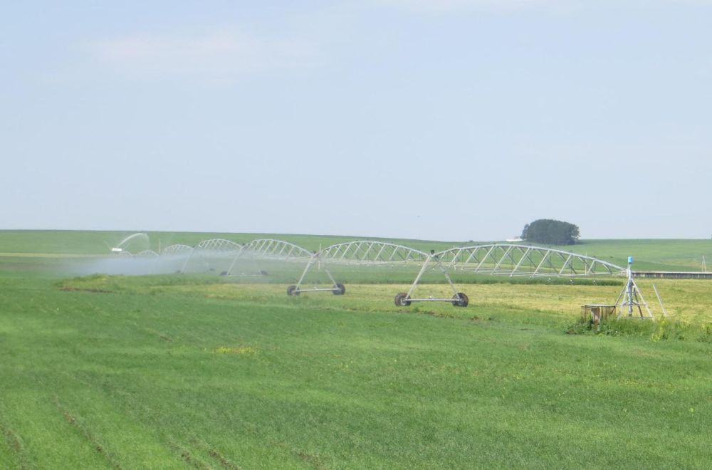 2025 ���� �� ��������� ��� ���������� ������� �������� 1,9 ���� ������