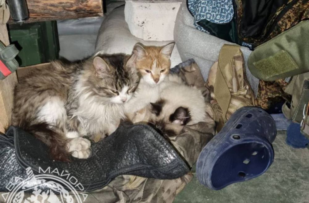 ��������� ������ �� �������� "��� ������"