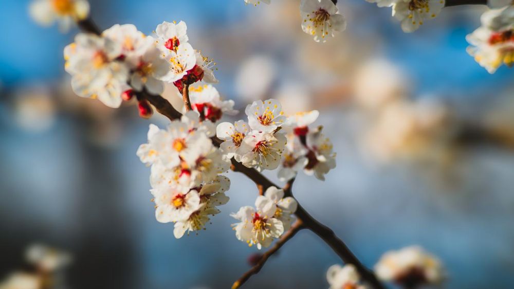 �������� ������: #�������_����������. ���� � ���� ���� ����� �������� � ���� ����� ��������, ���������� ��������� ��������� ������� � ������� �����