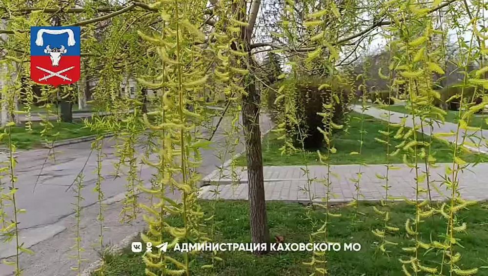 ������ ����, ������ ���������� �������������� ������!