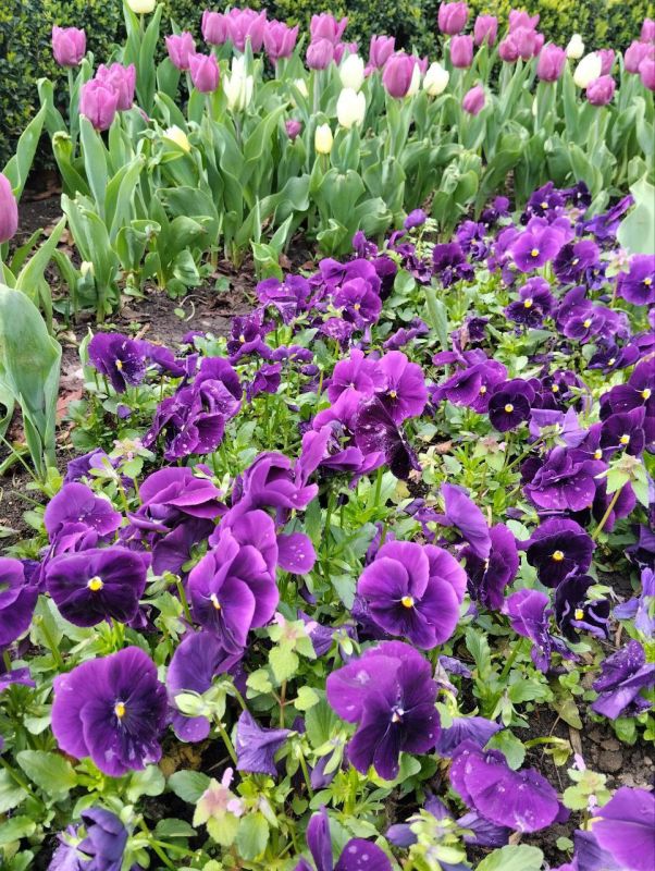 ������� �������� ������ � �����