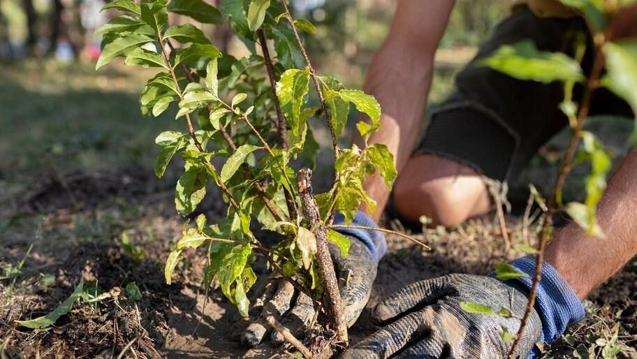 � �������������� ������ ������� ����� 1000 ��������