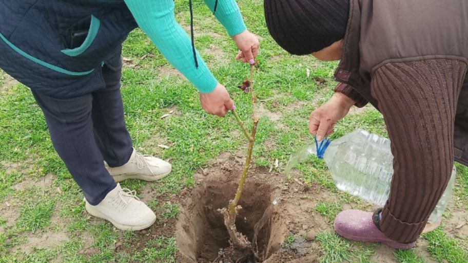 ����, �������� � ����� �������� � ��������� ������