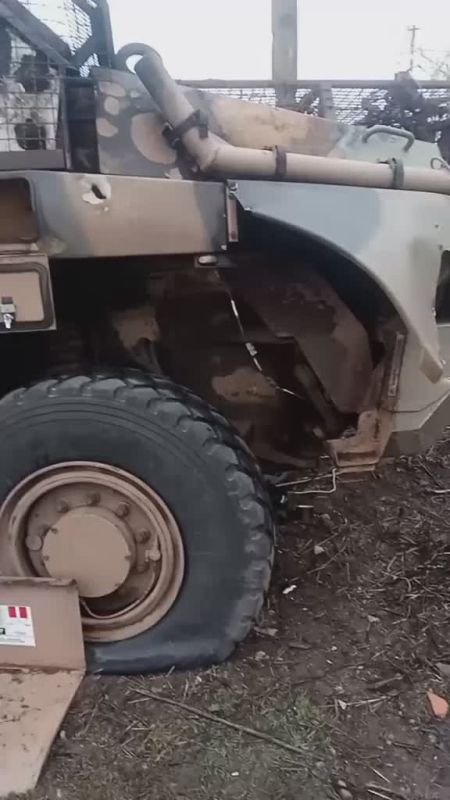 ��� ��������� ����������� ��� ���� ������������ ���������� ��������������� Bushmaster PMV �������������� ������������