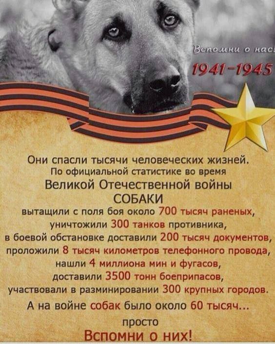 ����� �����: 80-����� ������� ������ �����������