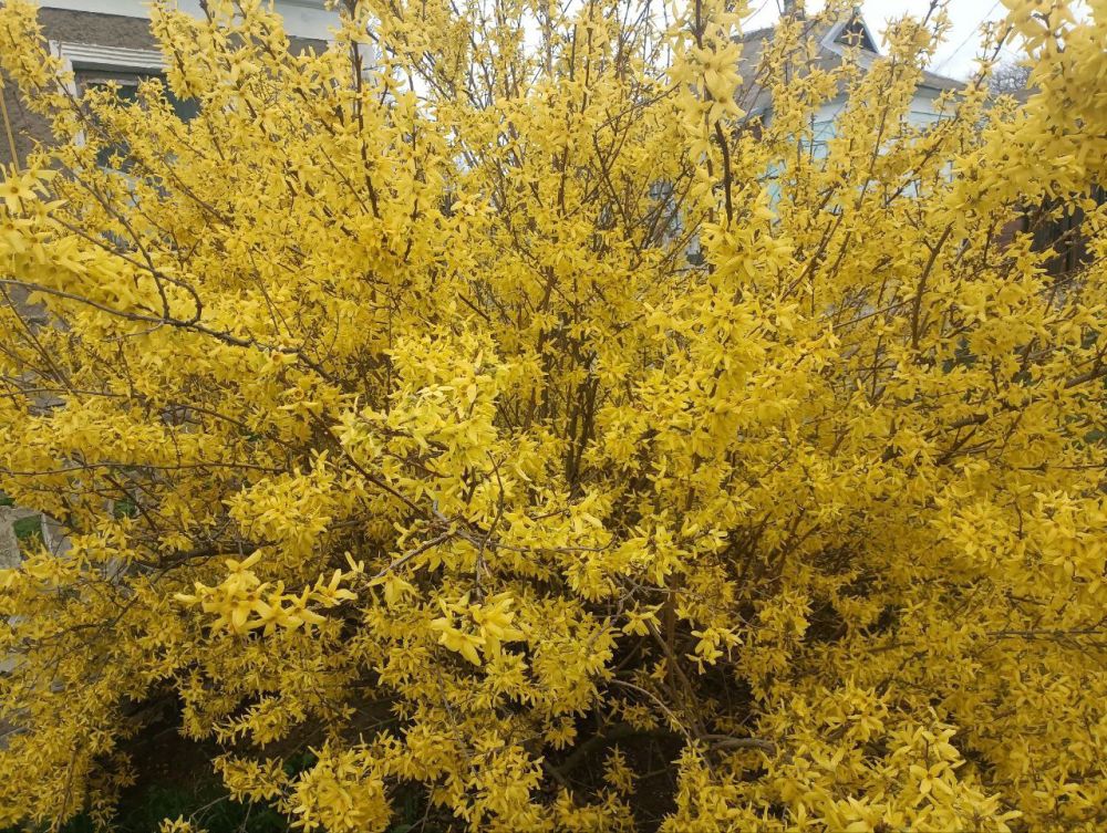 ������ ����� ��������� ��� �������� ���������, �� �������� ������� ��������!