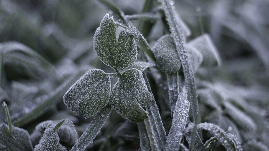 � ���������� ������� ��������� ��������� �� -4 ��������