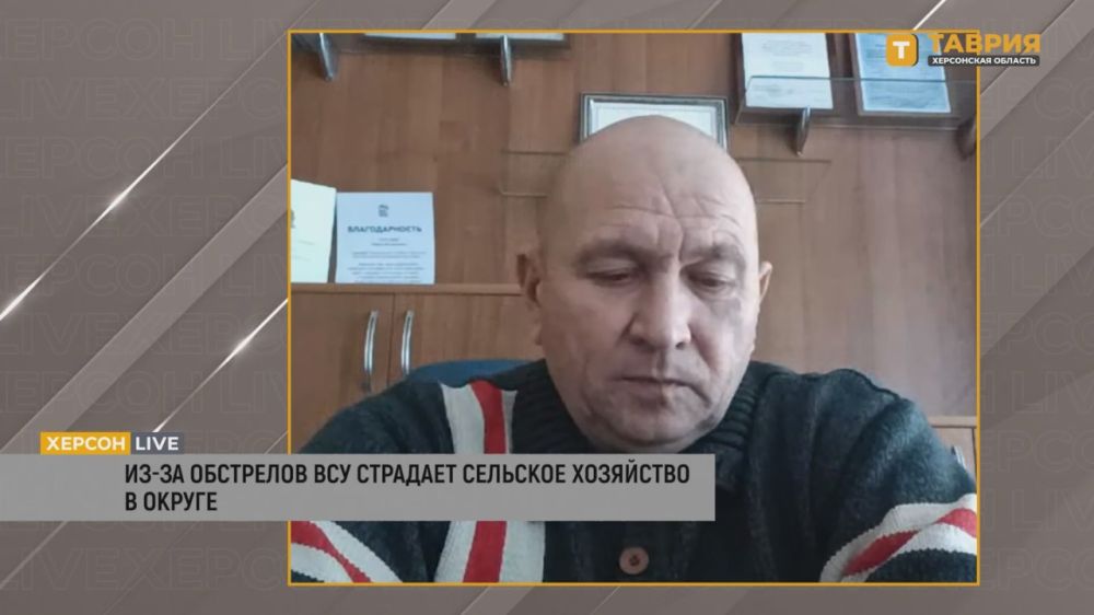 ���� ������: �� ������ ������ �������������� ������� 80% ������������� ��������������� ������