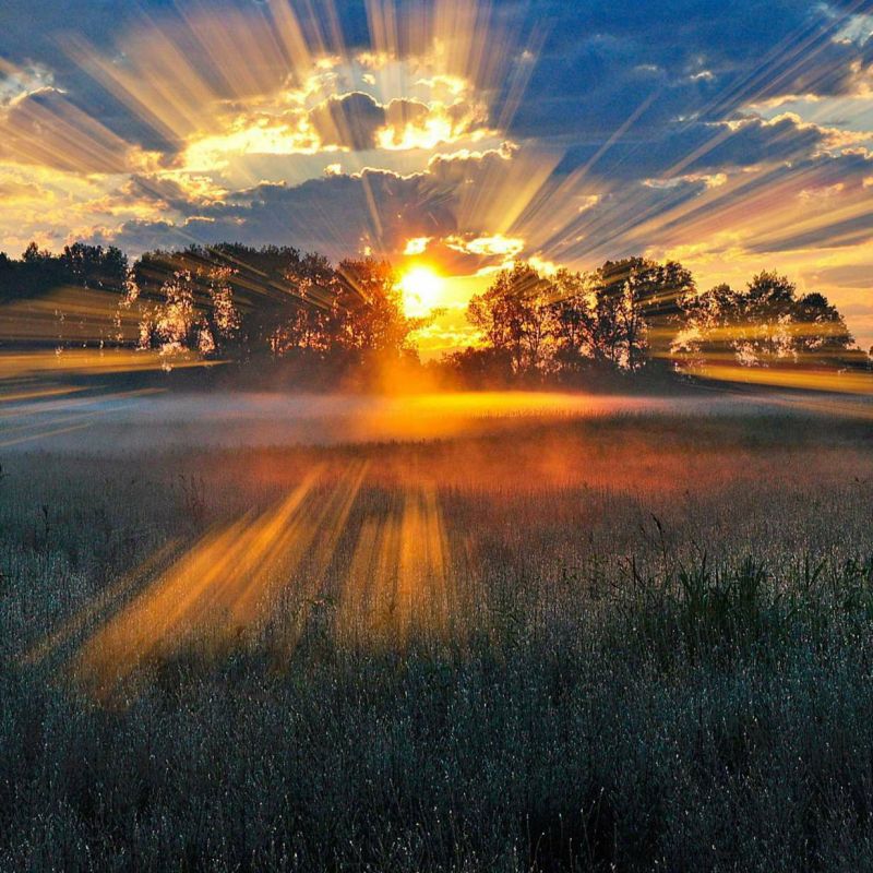 . �������� ����� � ���� ���� ��������� �������� , �� ������ ������� , ���� - ����