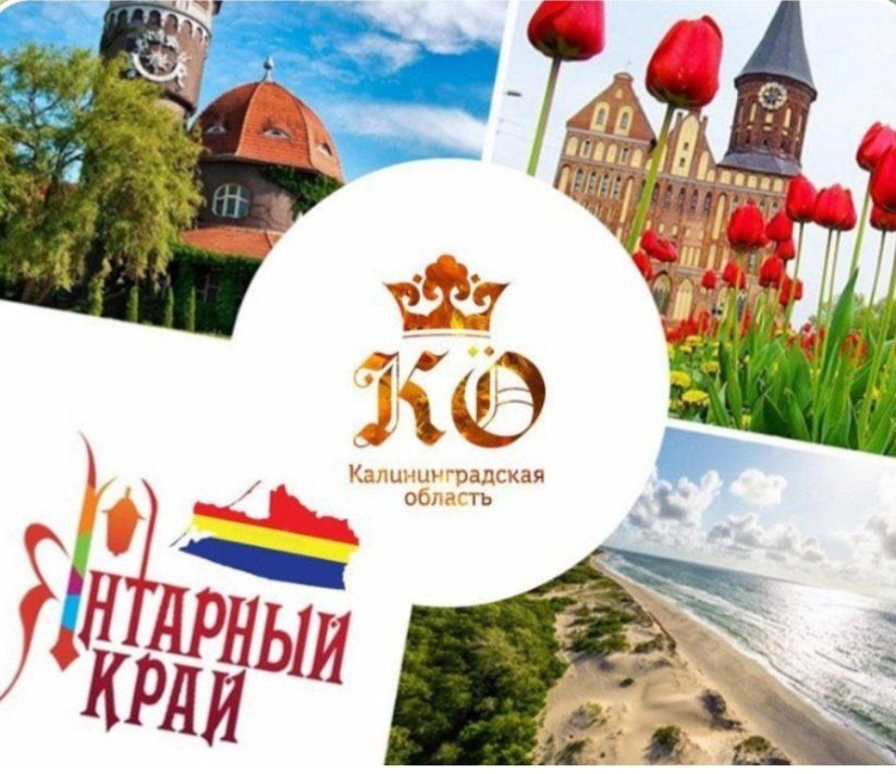 ������� ��������: ������� ���� 79-�� ���� �������� �������� ��������������� �������