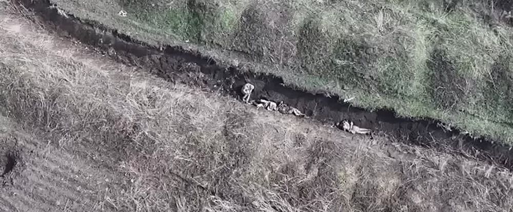 ���� �� �������: ������ ���� FPV-������ �� ������������ � ����� �������� ���