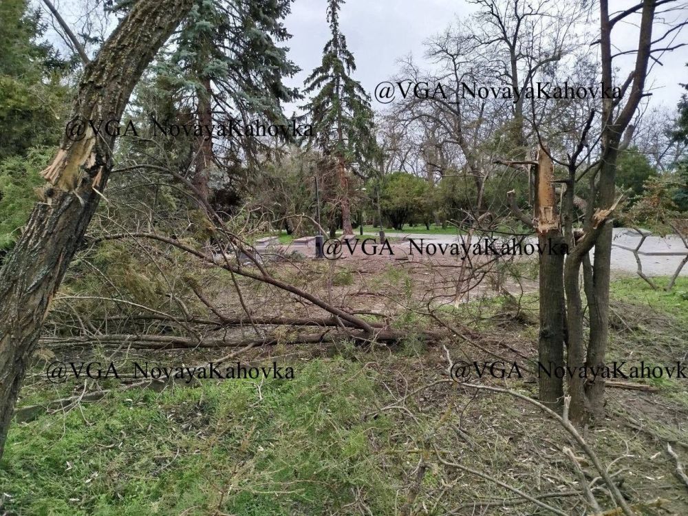 ����� ������ ����� ������� ��������� ����� �� ������� ���