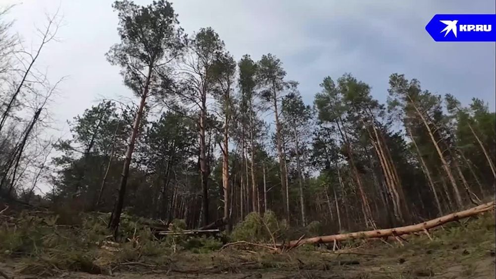 ������������ ���������� ����� ��������� ���������� ��� �� ������ ������