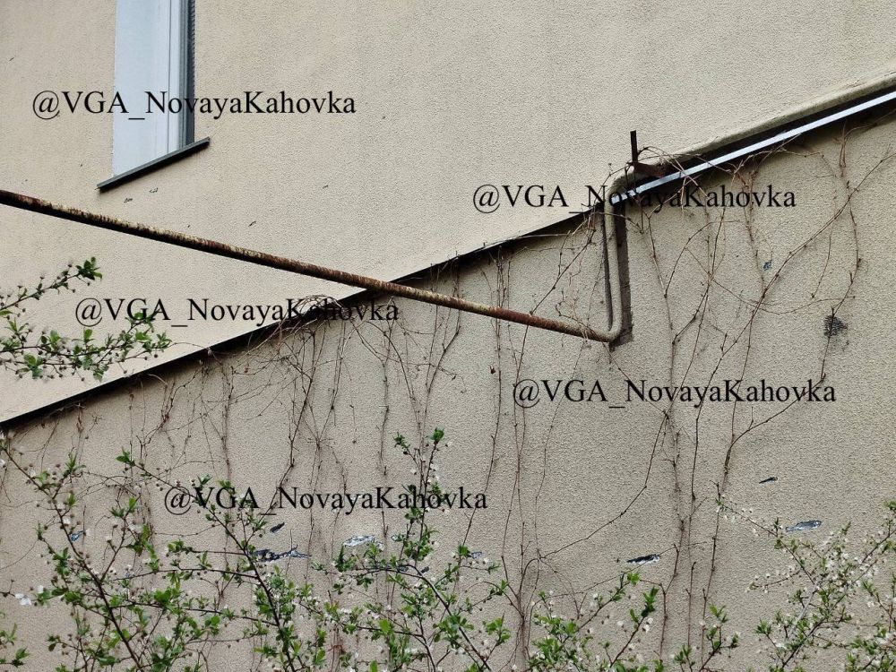 ������� ����: � ���������� �������� �. ����� �������, �������� ����������