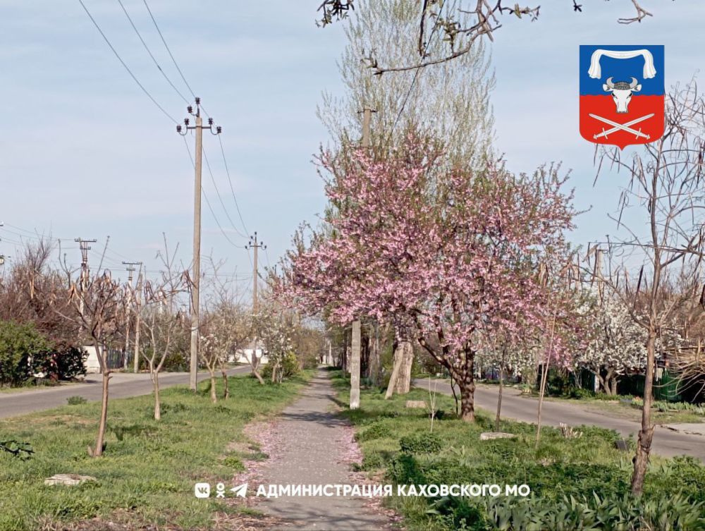 ������ ����, ������ ���������� �������������� ������!