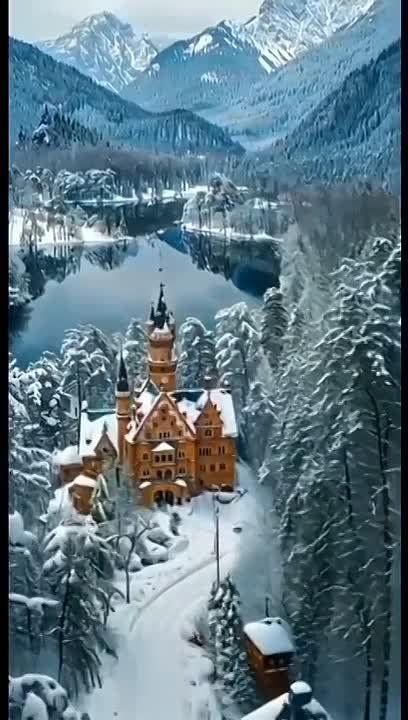 ����� �����: �������� ������� ������