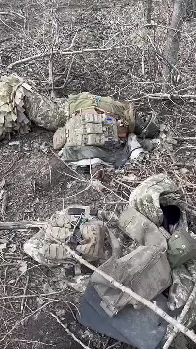 ������ ��������� � �������