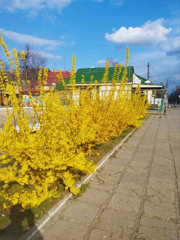 ������ ���� ����!. �������������, ������������ ������! sd_kakhovka.khogov.ru