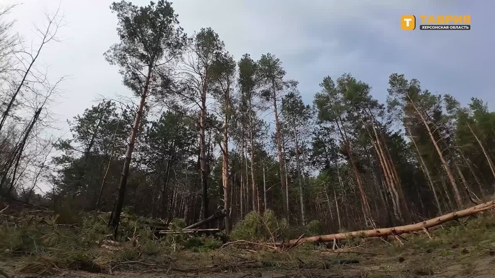 ������ 120-�� �������� ����������� ����� "�����" ������ ���������� ��������� ������ ������ ��� �� ���������� �����������