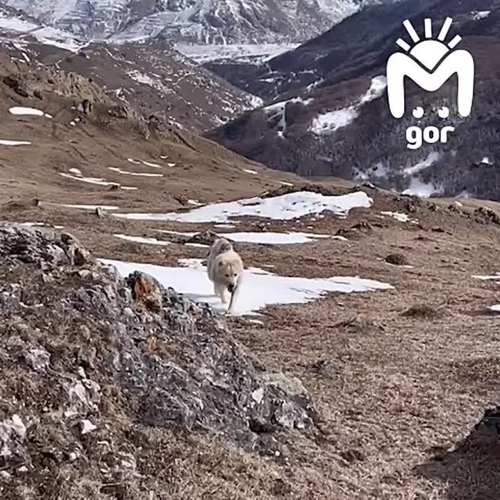 ��������� ����������, ���������� ����� ������� ��������, ������ ��� � ��� ��� ������ ������ �� ����� ������ �����-����