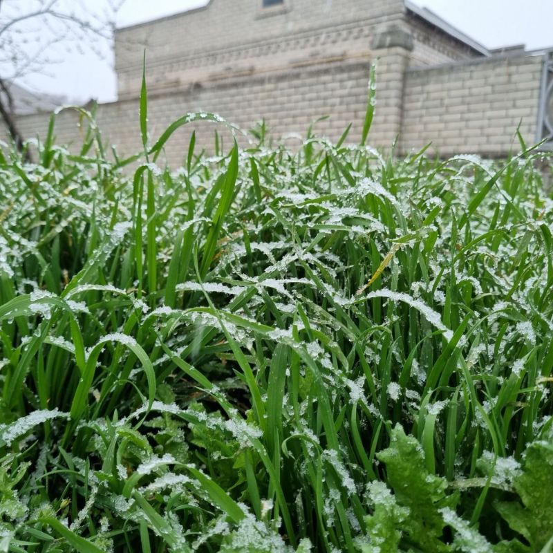 ������� �������, ������ ��� �����