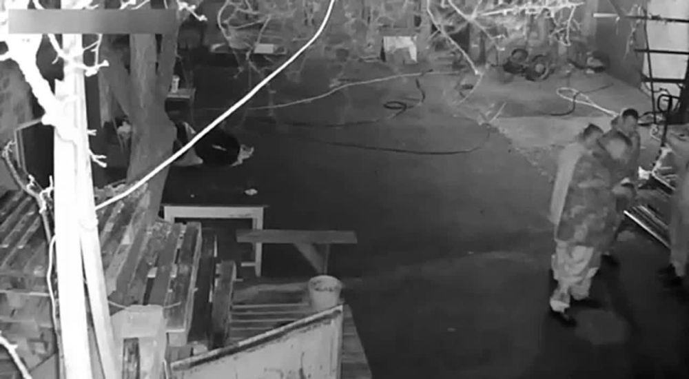 ����� � ���� �������� ��������