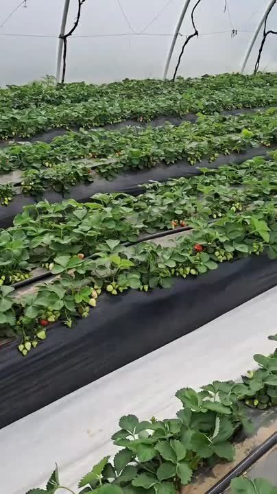 � ��������� ������ ����� ����� ������� ��������� � ����� ������ ��������