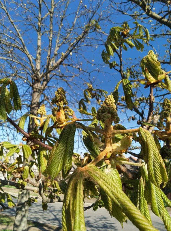 ����� ��� ���� ����� �����, �������� �� ������!