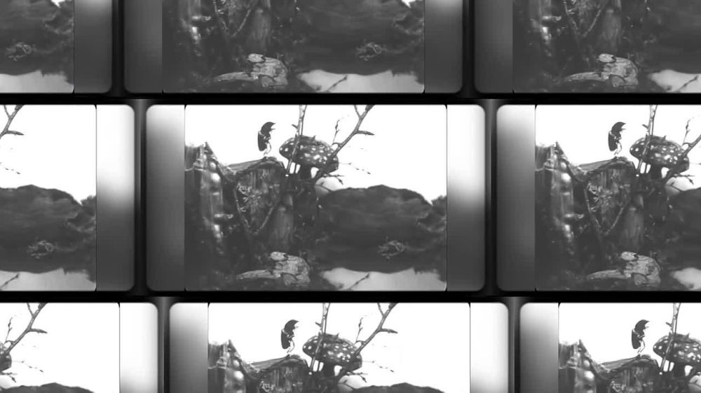 ����������� �� �������: �� ���������������� �� ����������� ����������