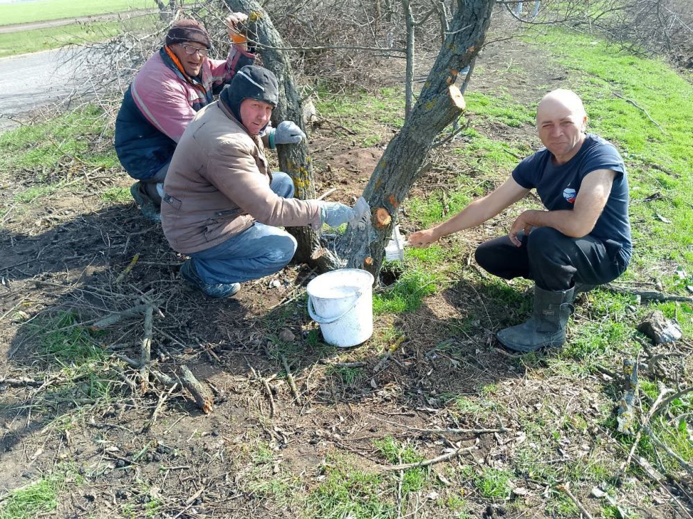 Благоустройство сельских поселений Горностаевского муниципального округа